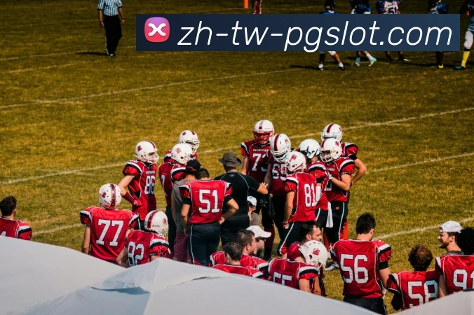 PG电子官网服务体系